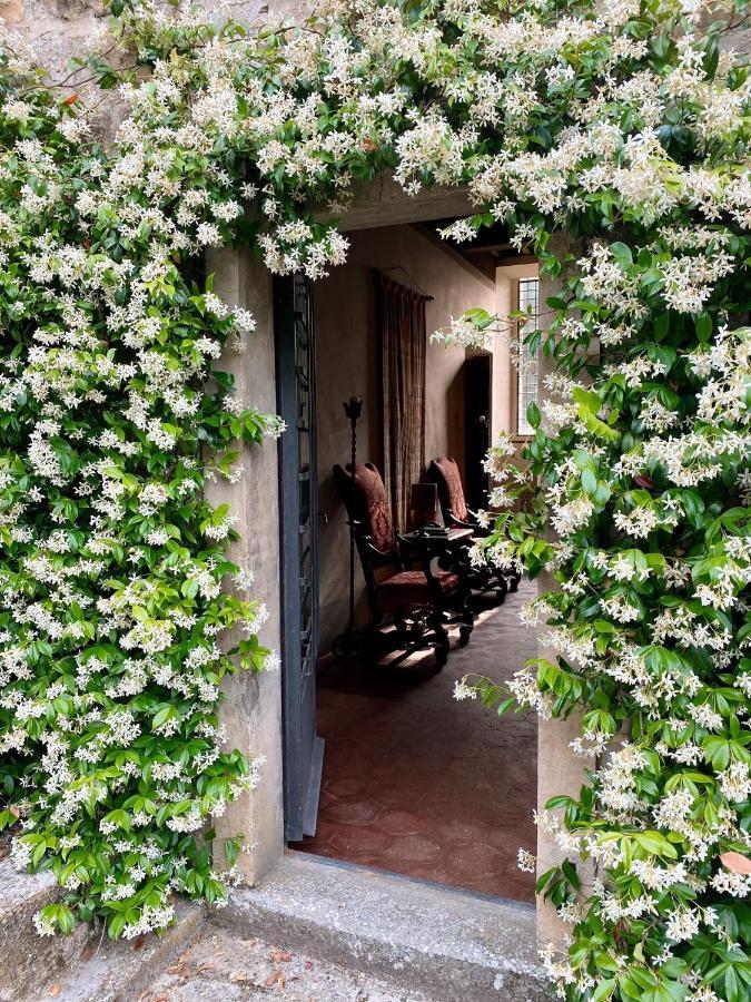 Tenuta Di San Giusto In Salcio Apartment Gaiole in Chianti Exterior photo